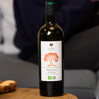 Cantine Sgarzi - Primitivo Puglia (2020)