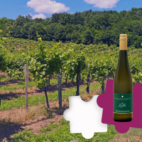 Istvándy Jenő Pincészete: Farkastető vineyard - Kálla