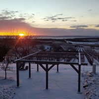 Tánczos Pince: Tagyon-hegy vineyard - Rajnai Rizling