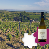 Tánczos Pince: Tagyon-hegy vineyard - Olaszrizling