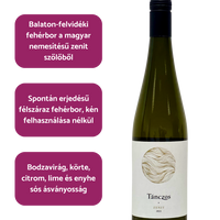 Tánczos - Zenit (2024)