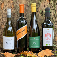 New World vs. Old World