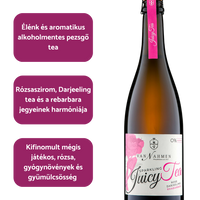 Van Nahmen – Non-Alcoholic Sparkling Juicy Tea Rose-Darjeeling-Rhubarb (BIO)