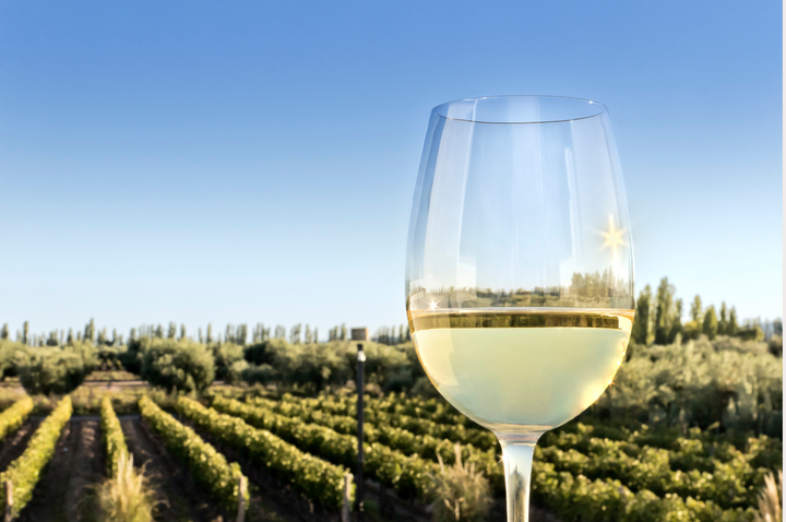 Understanding Wine Aromas: From Vanilla to Strawberry and Beyond