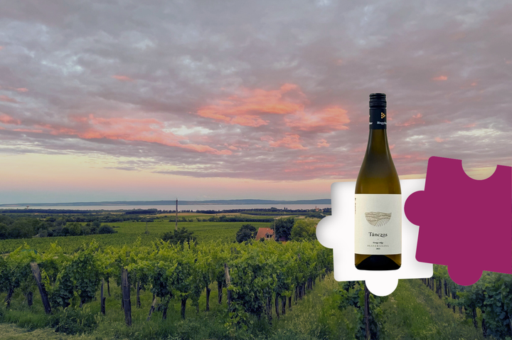The Perfect Wine Gift for Christmas: Vineyard Subscription