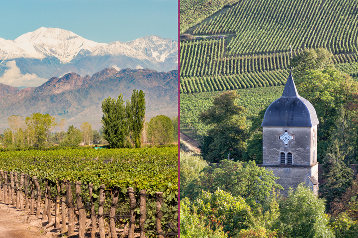Two Worlds of Wine Explained: Old World vs. New World