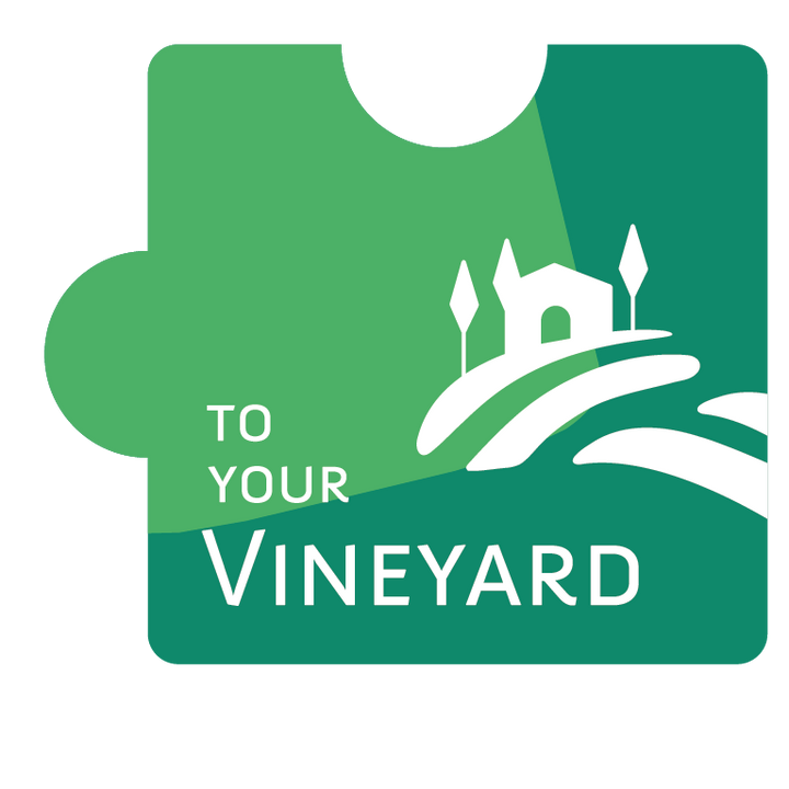 Vineyards Main