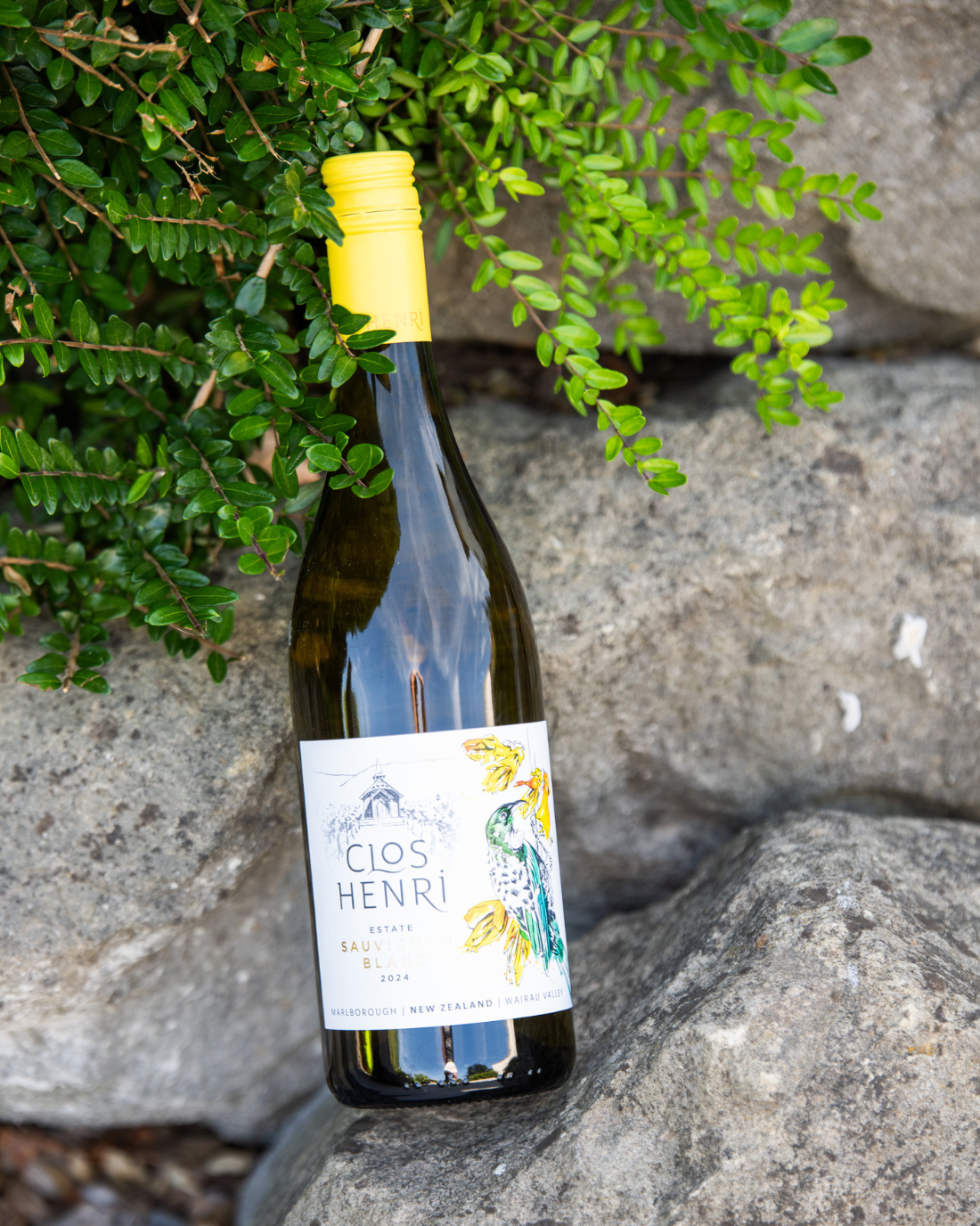 Clos Henri – Estate Sauvignon Blanc (2024)