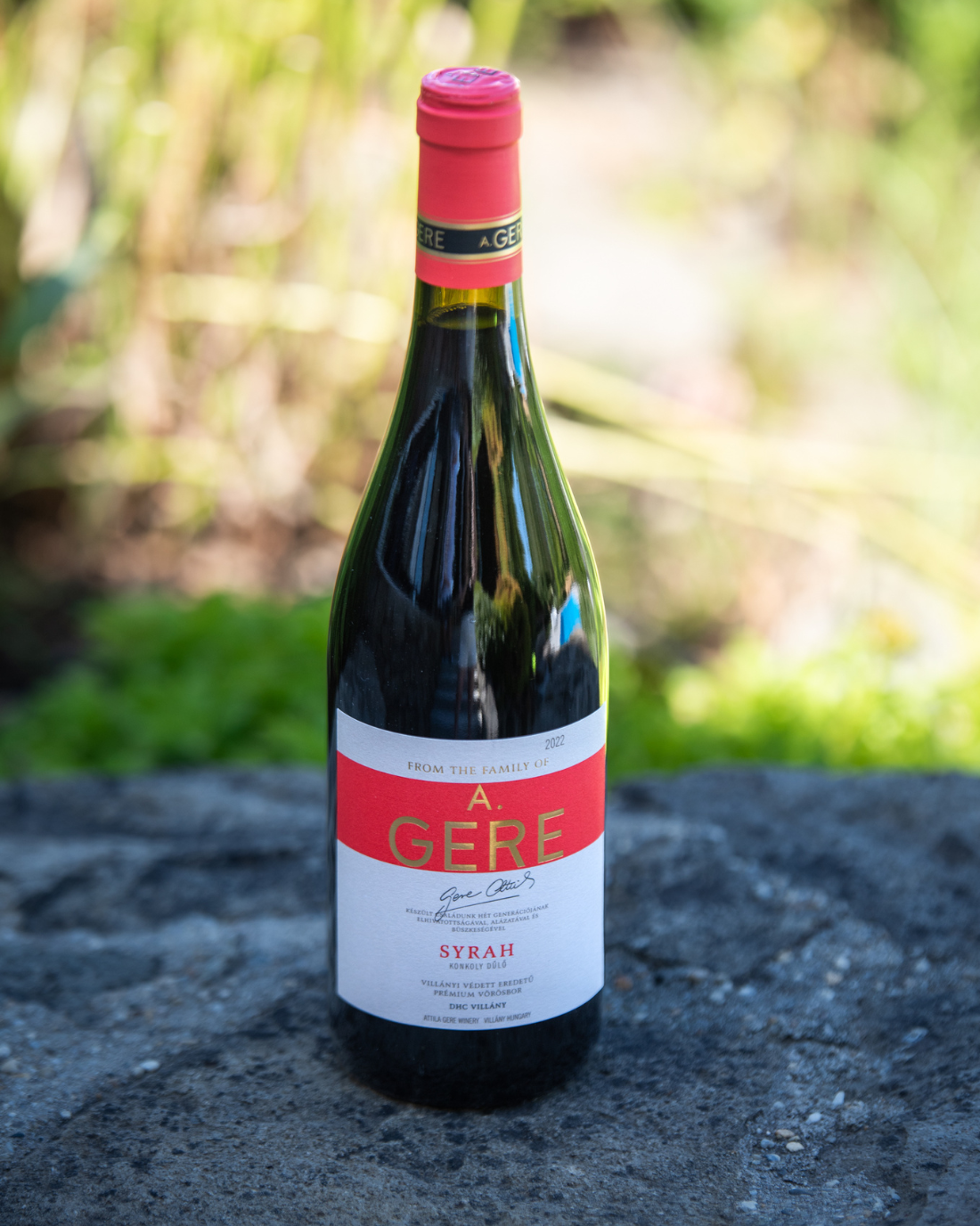 Gere – Syrah (2022)