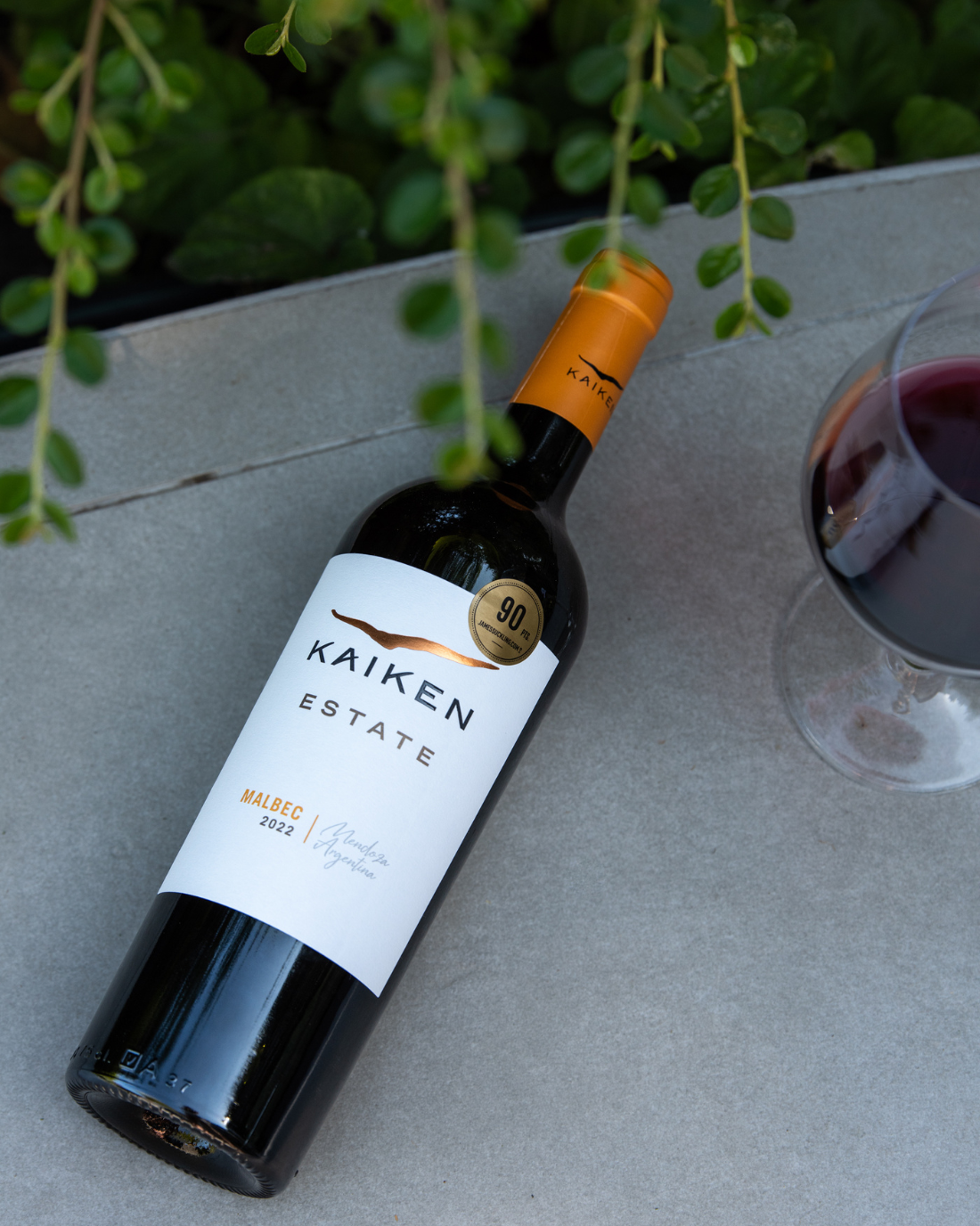 Kaiken Estate Malbec (2022)
