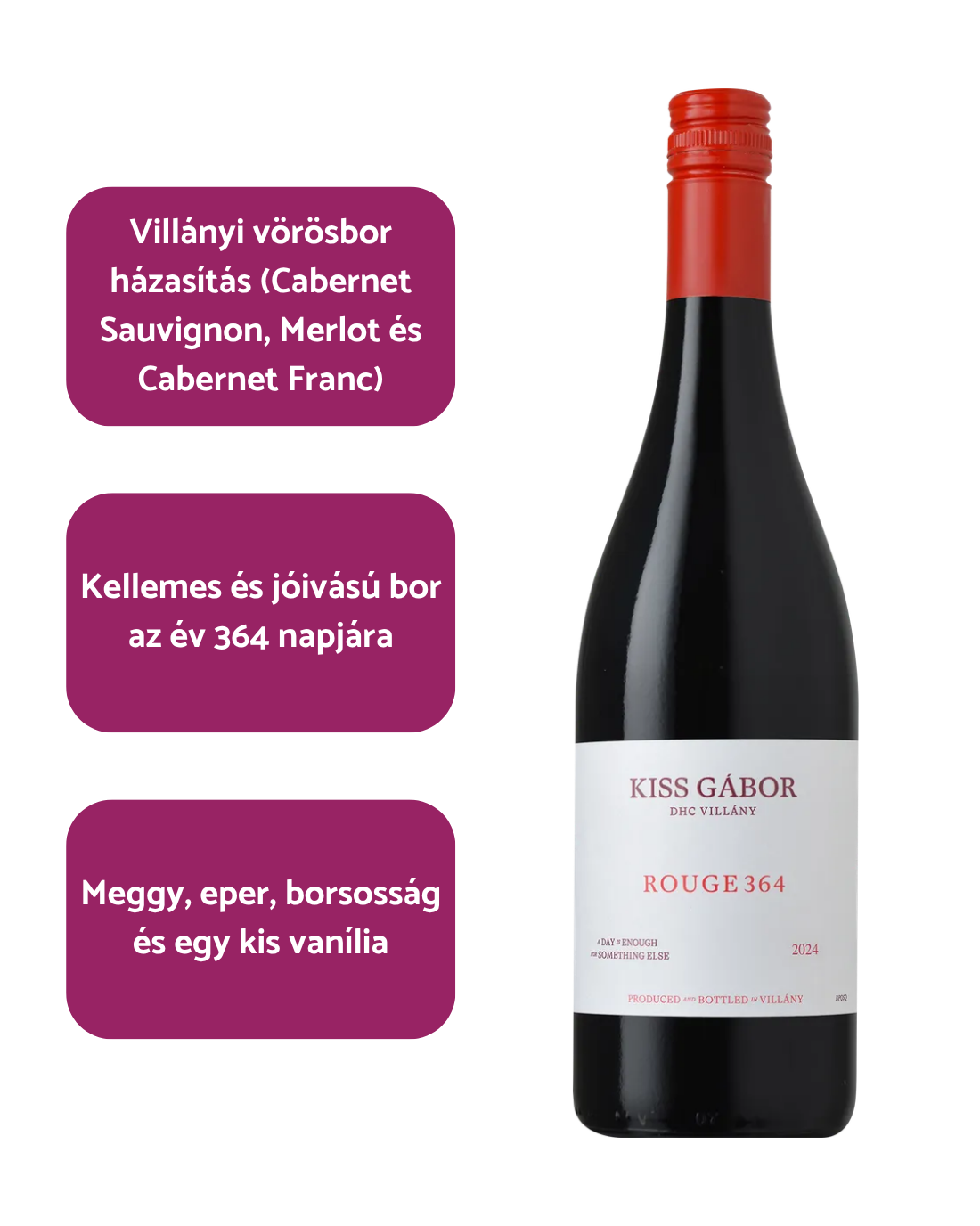 Kiss Gábor - 364 Rouge (2024)