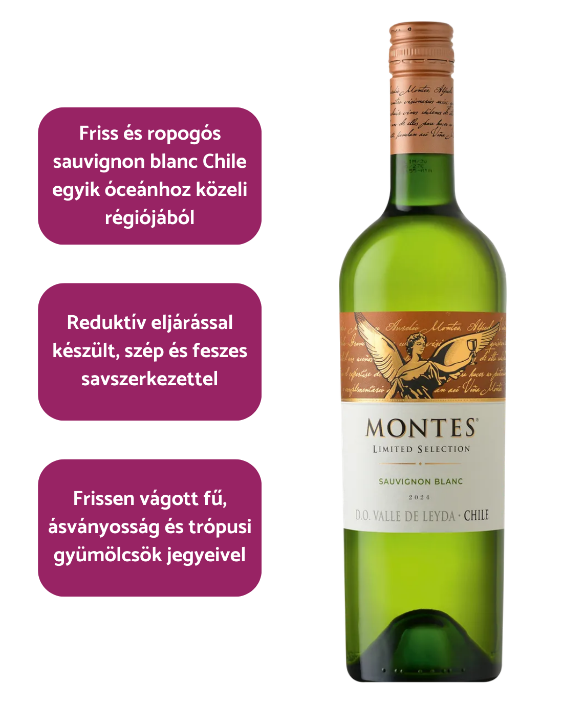 Montes - Limited Selection Sauvignon Blanc (2024)