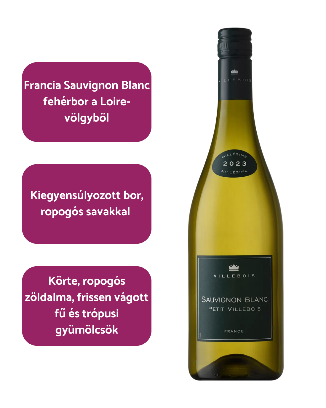 Petit Villebois - Sauvignon Blanc (2023)