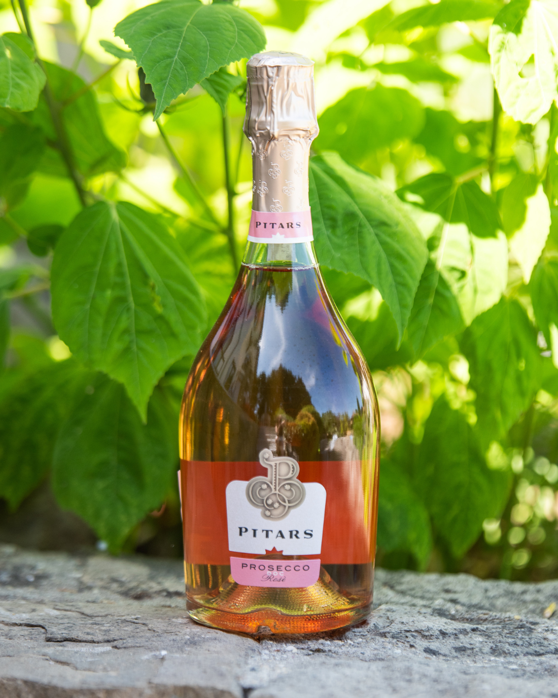 Pitars - Prosecco Rosé Brut DOC