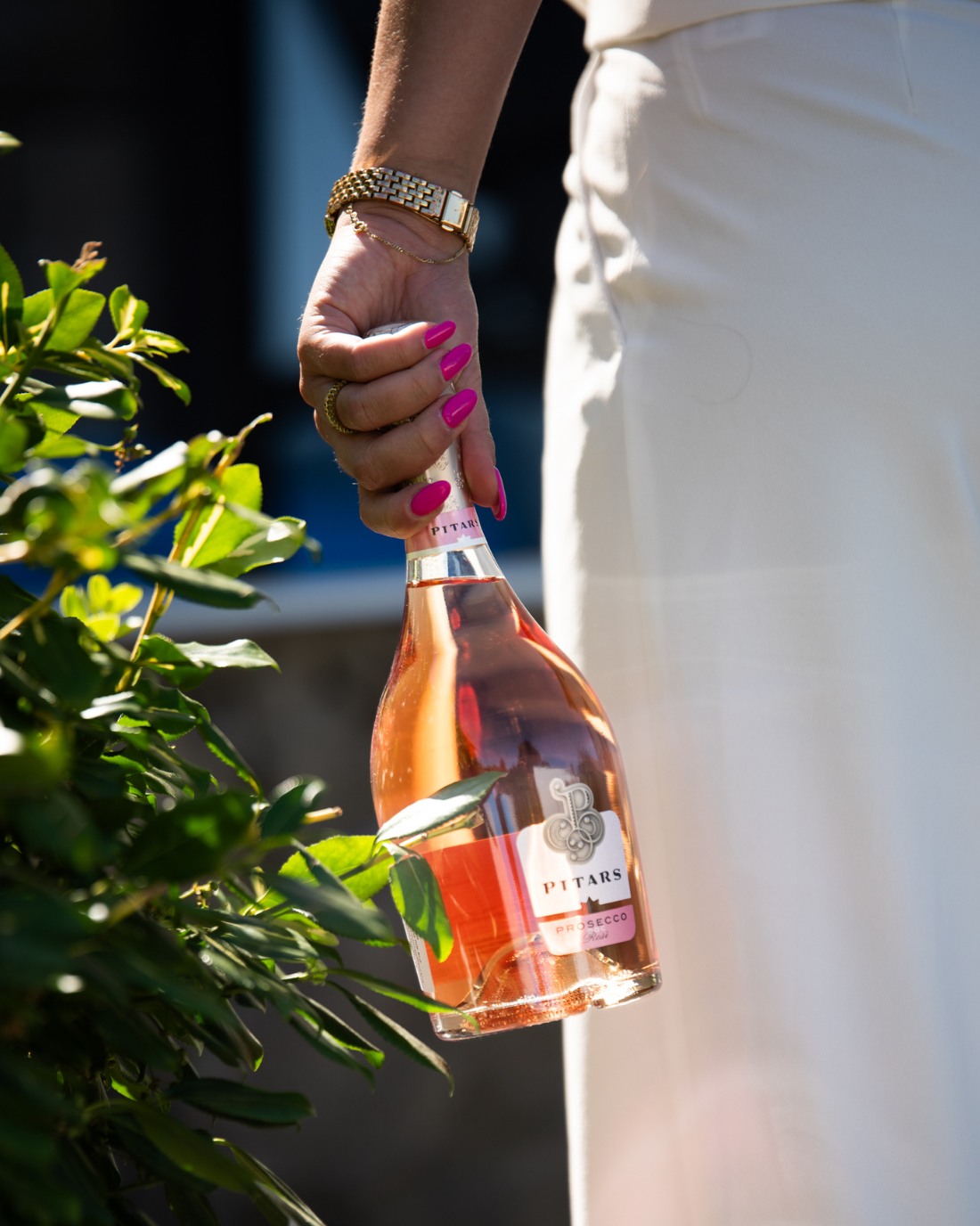 Pitars - Prosecco Rosé Brut DOC