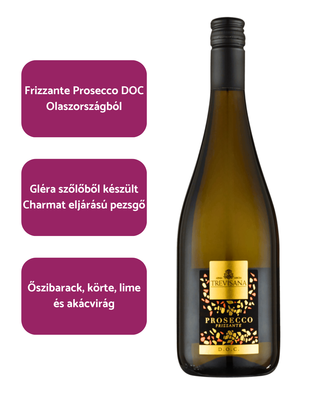 Trevisana - Prosecco Frizzante Extra Dry DOC