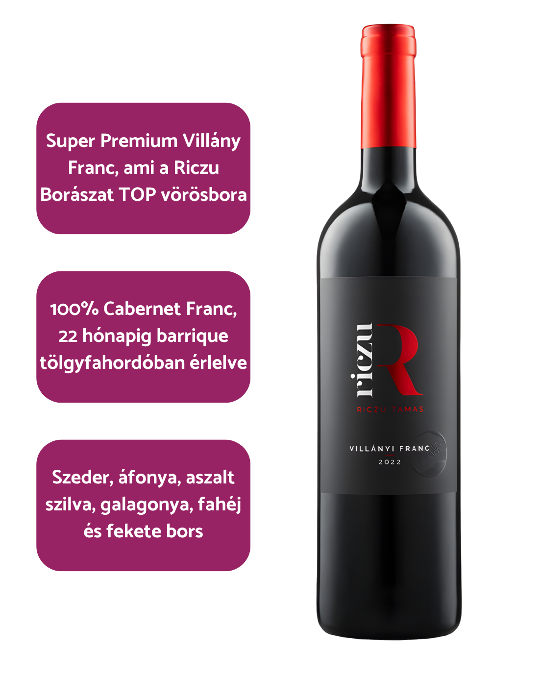 Riczu - Villányi Franc (2022)