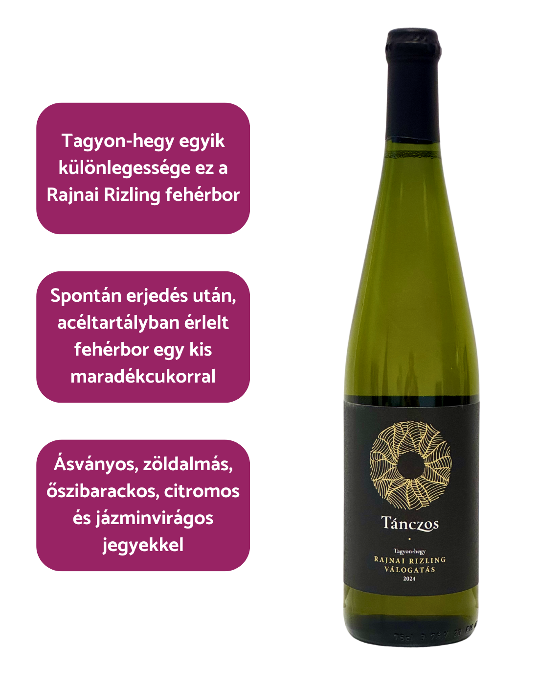 Tánczos - Riesling Selection (2024)