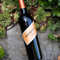 Trapiche – Broquel Malbec (2022)