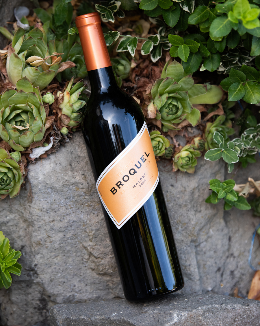 Trapiche – Broquel Malbec (2022)