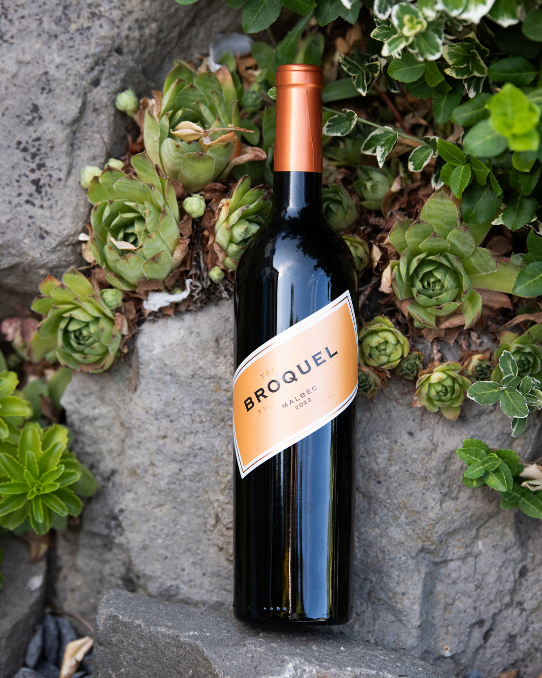 Trapiche – Broquel Malbec (2022)