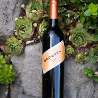 Trapiche – Broquel Malbec (2022)